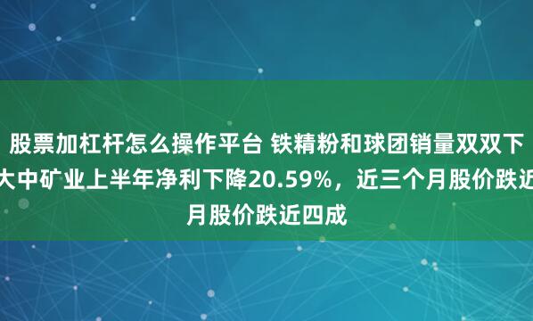 股票加杠杆怎么操作平台 铁精粉和球团销量双双下滑，大中矿业上半年净利下降20.59%，近三个月股价跌近四成