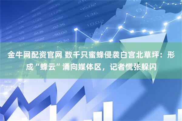 金牛网配资官网 数千只蜜蜂侵袭白宫北草坪：形成“蜂云”涌向媒体区，记者慌张躲闪